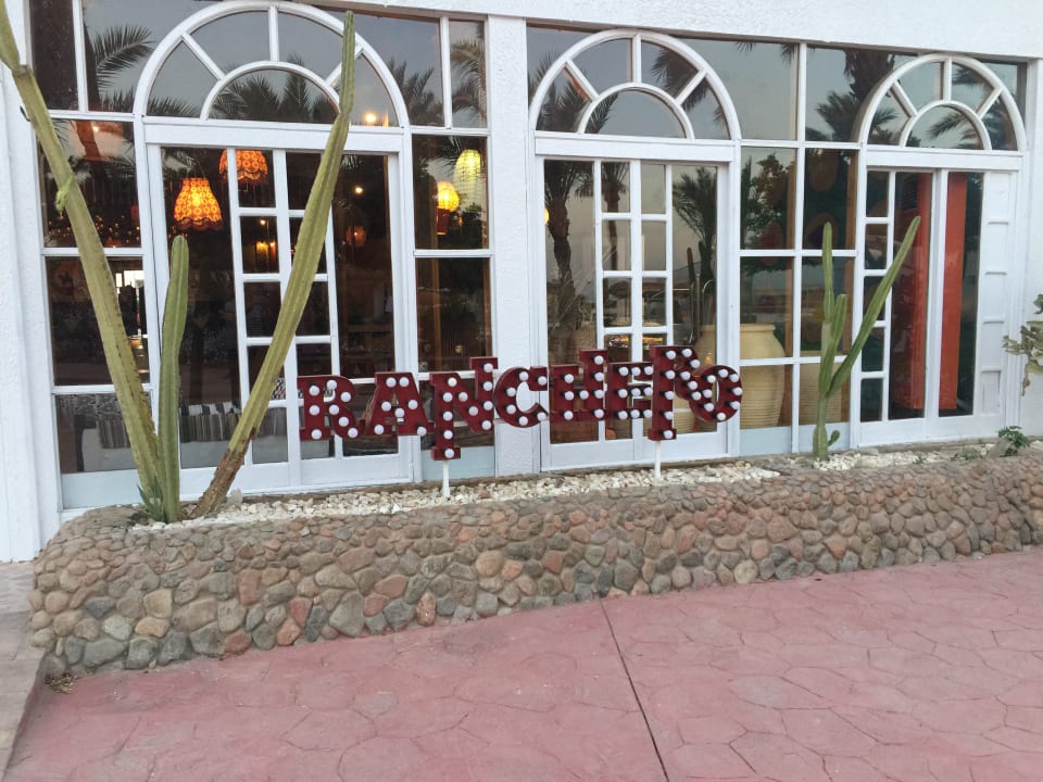 Sonstiges Desert Rose