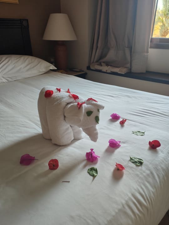 Zimmer Steigenberger Coraya Beach - Adults only