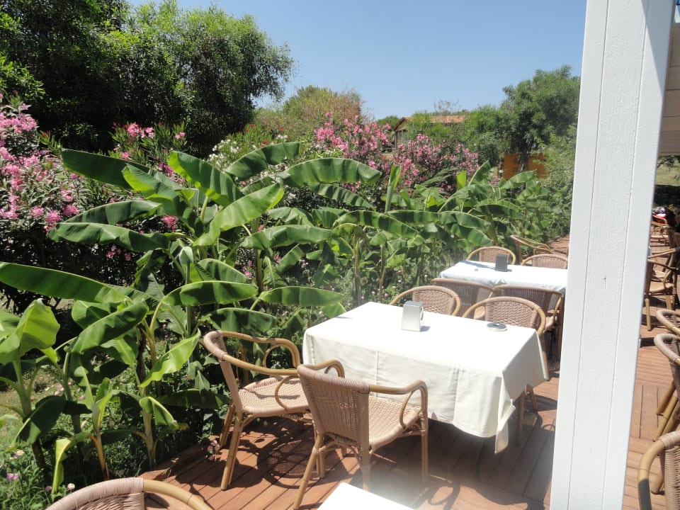 Strandbar FUN&SUN Smart Hane Sun Hotel