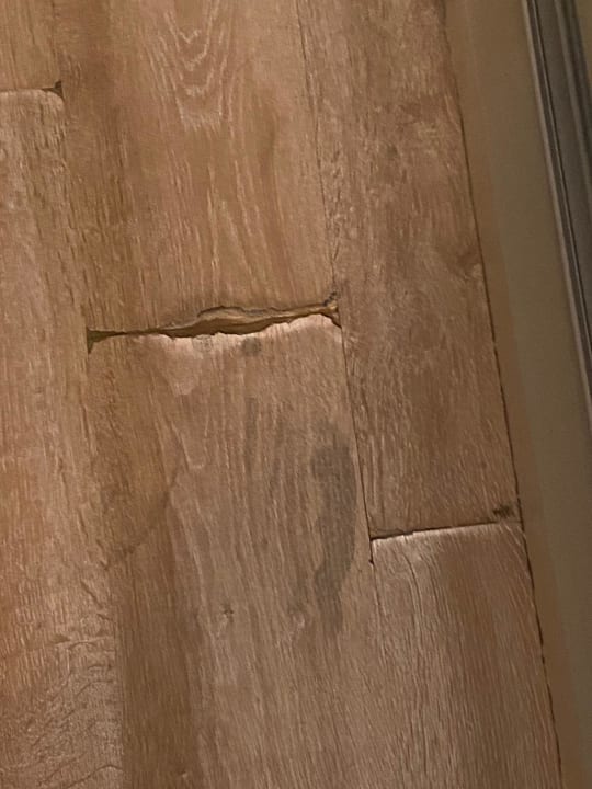 Pool Well Palace Side