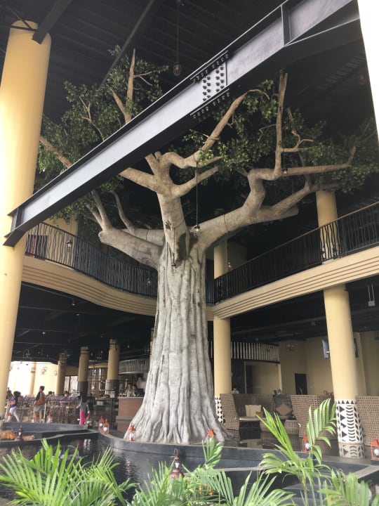 Gastro Baobab Safari Resort