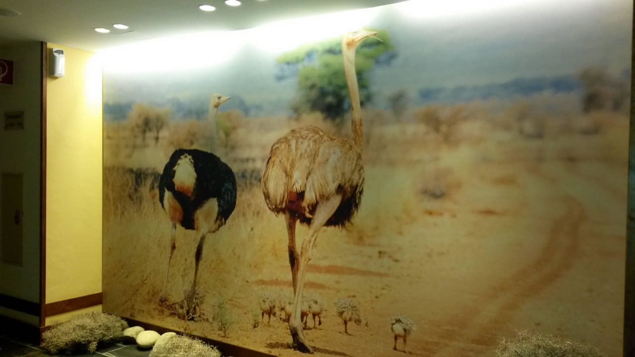 Der 1. Blick, wenn man den Fahrstuhl verläßt Park-Hotel Hagenbeck