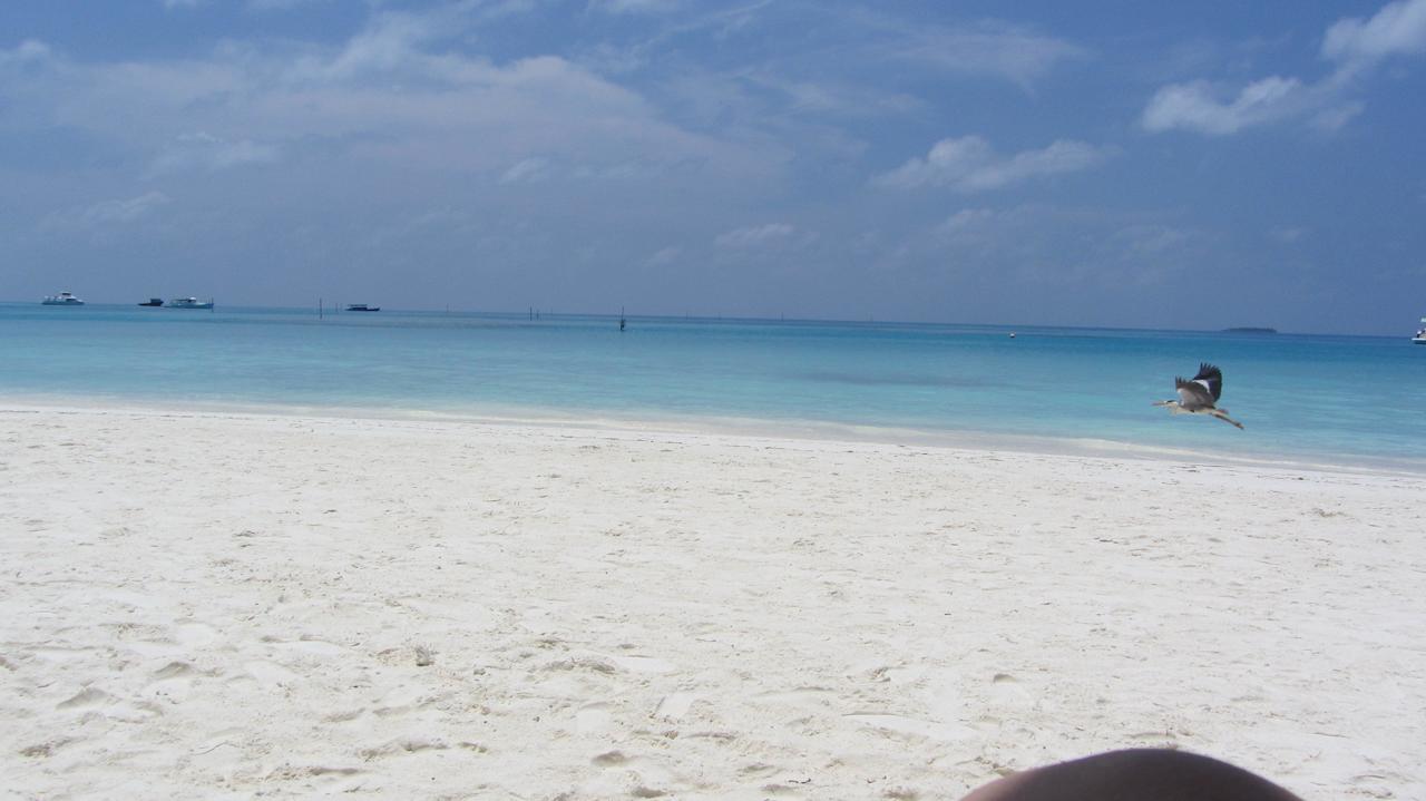 Blick von der Liege Meeru Maldives Resort Island