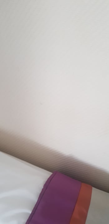 Zimmer Hotel Botanik Platinum