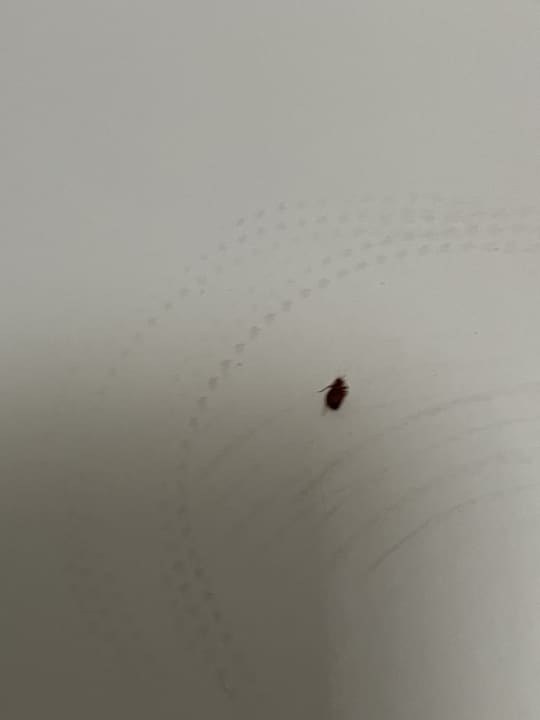 Zimmer Nemea Appart Hotel Elypseo Strasbourg Port