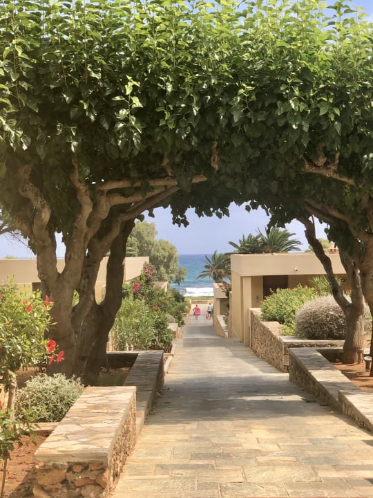 Gartenanlage Kernos Beach Hotel & Bungalows