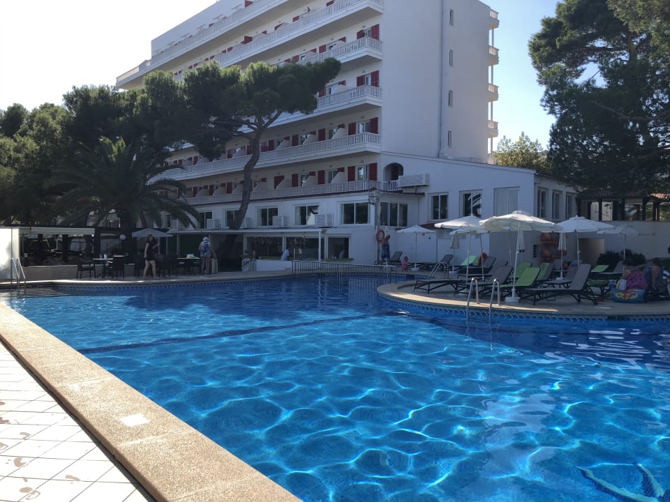 Pool Universal Hotel Laguna