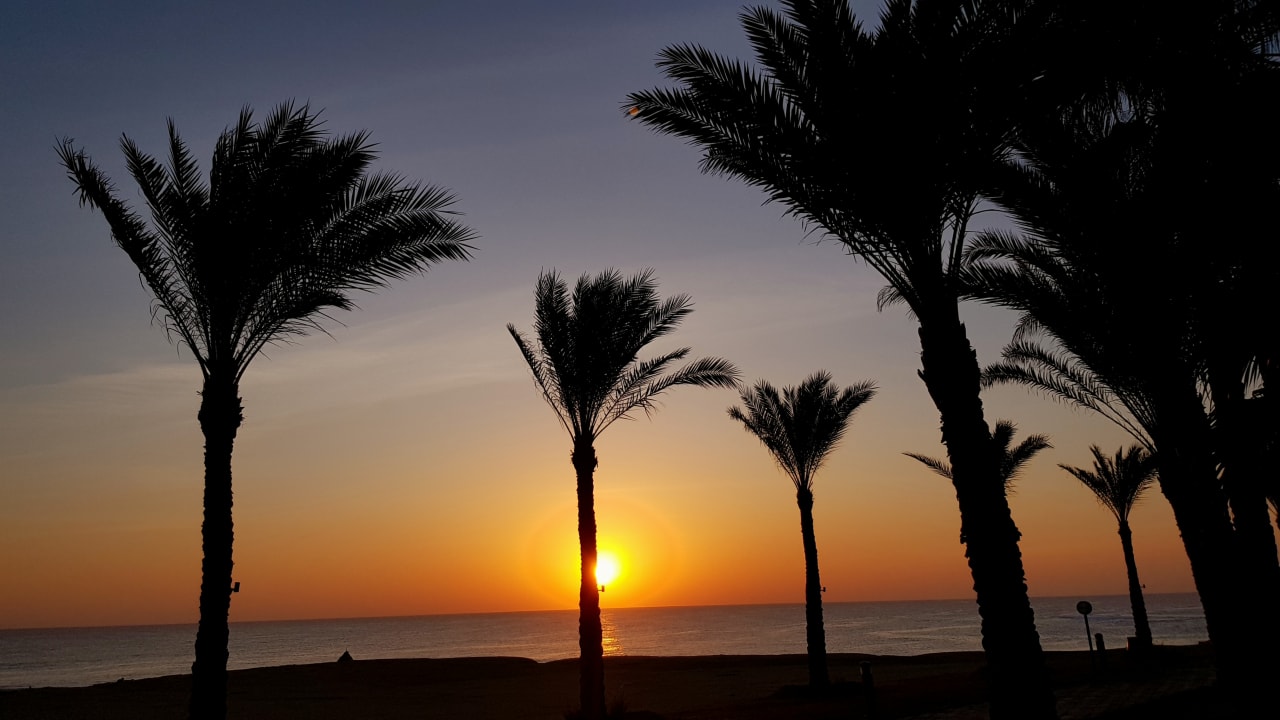 Ausblick Steigenberger Coraya Beach - Adults only