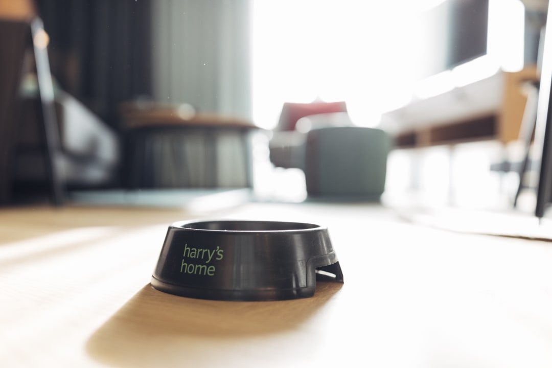 Zimmer harry's home Villach