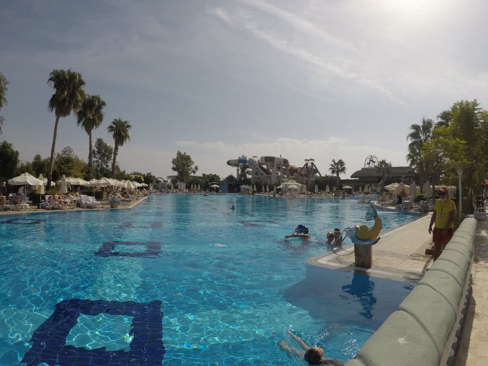 Pool Hotel Delphin Imperial