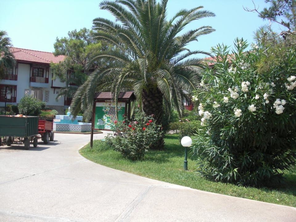 Rezeption Ali Bey Club