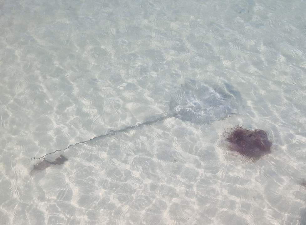 Strand Berjaya Praslin Resort