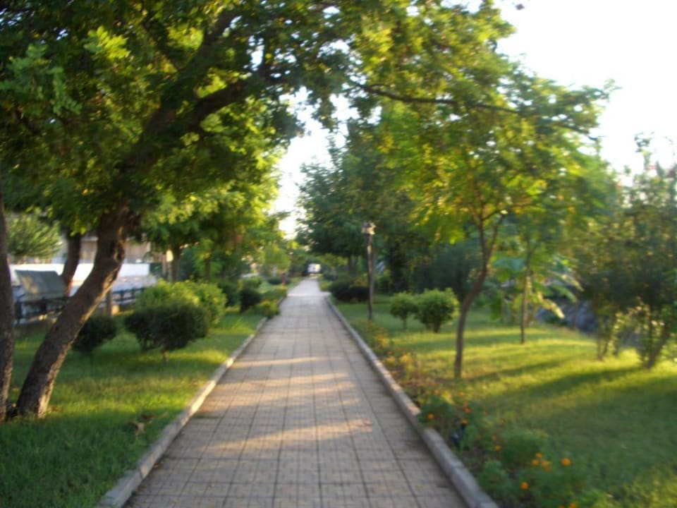 Park zur Stadt Crystal De Luxe