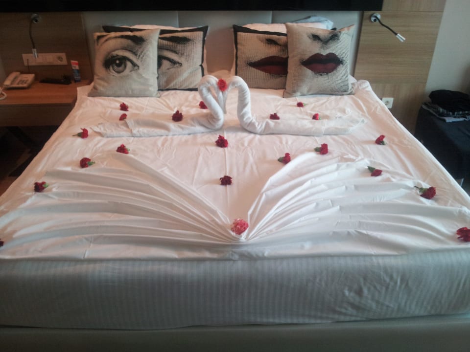 Voll lieb Hotel Delphin Imperial