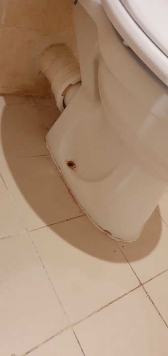 Zimmer Delphin El Habib