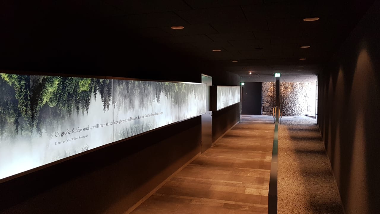 Sport & Freizeit Seezeitlodge Hotel & Spa