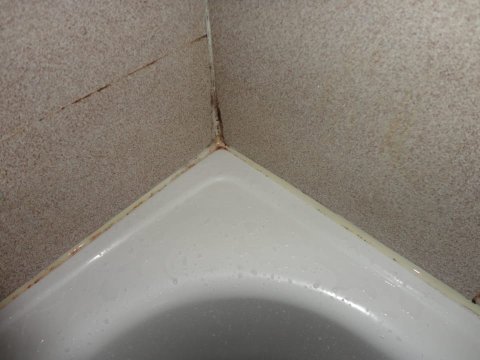 Bad Schimmel Melia La Palma Hotel