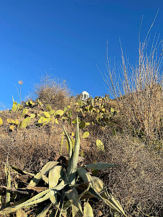 Sonstiges ROBINSON DAIDALOS