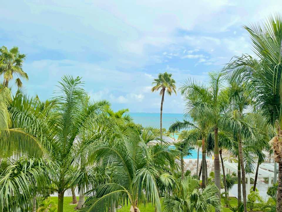 Gartenanlage Hotel Riu Caribe