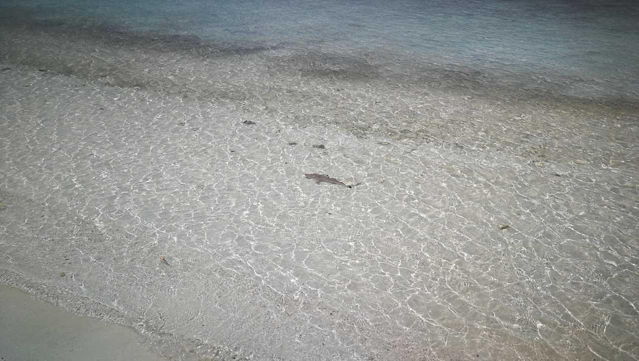 Strand Summer Island Maldives