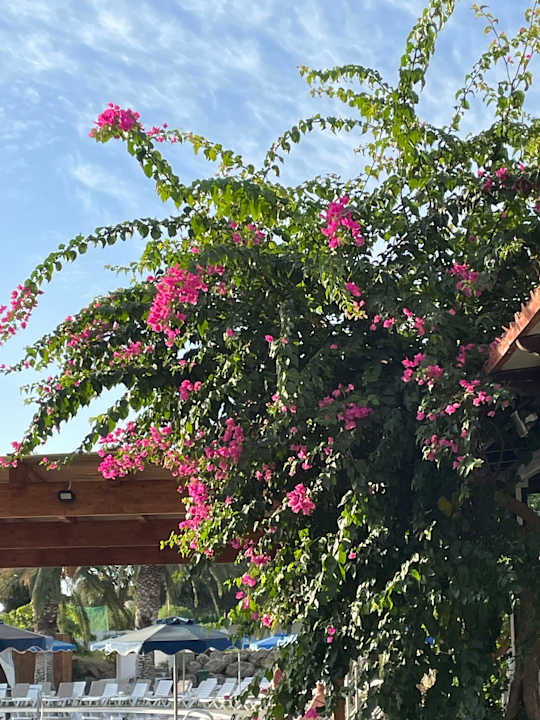 Außenansicht Hotel Cathrin