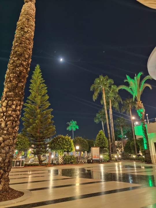 Gartenanlage Saphir Resort & Spa