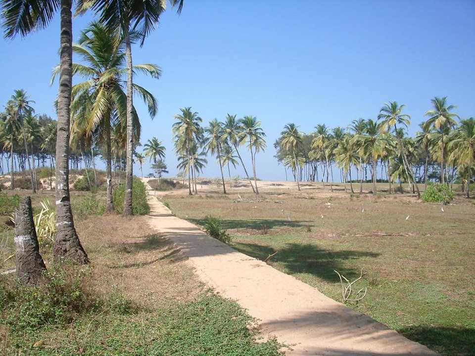 Droga z hotelu na plażę Hotel Coconut Grove