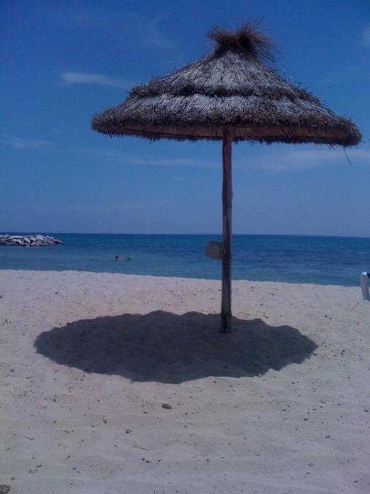 Blick von unseren Liegen aus Royal Lido Resort & Spa