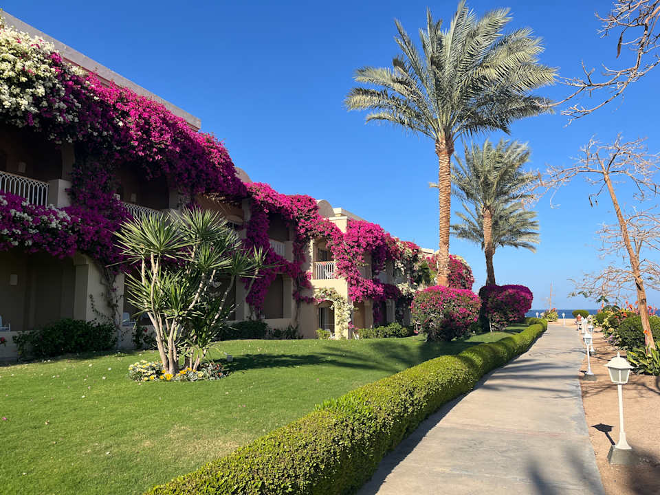 Außenansicht TUI MAGIC LIFE Kalawy