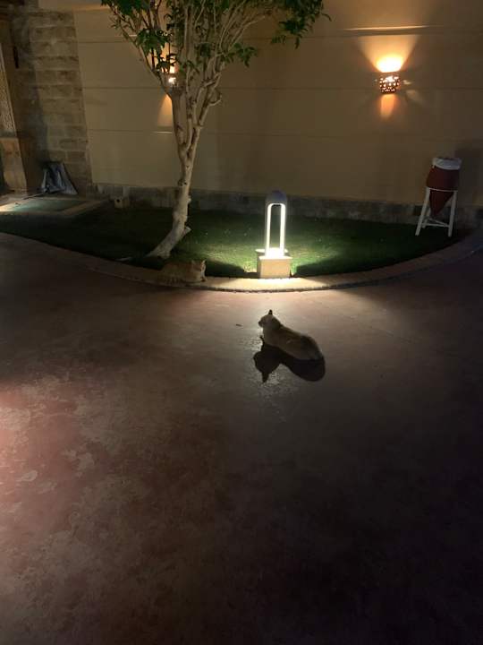 Außenansicht Pickalbatros Alf Leila Wa Leila Resort - Neverland Hurghada