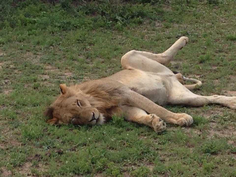 Safari Hotel Arathusa Safari Lodge