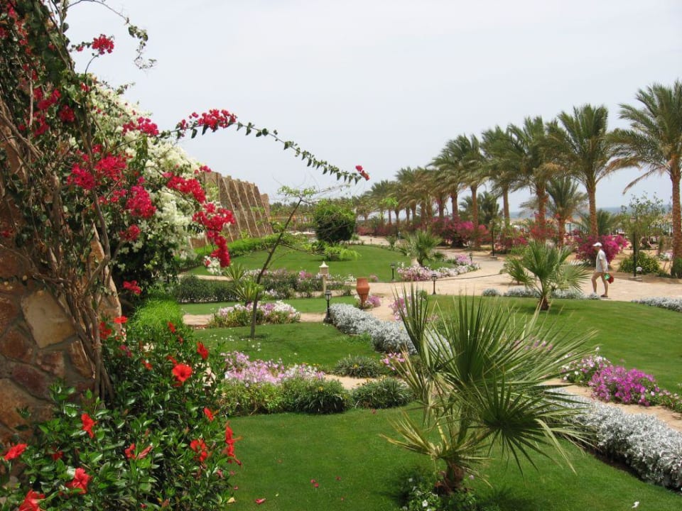 Ausblick von der Terrasse Brayka Bay Resort