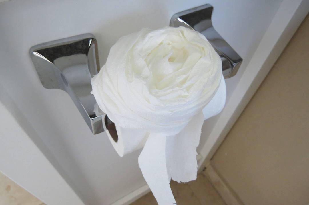 Toilettenpapierrose/Kunst im Bad 15FTL Guesthouse