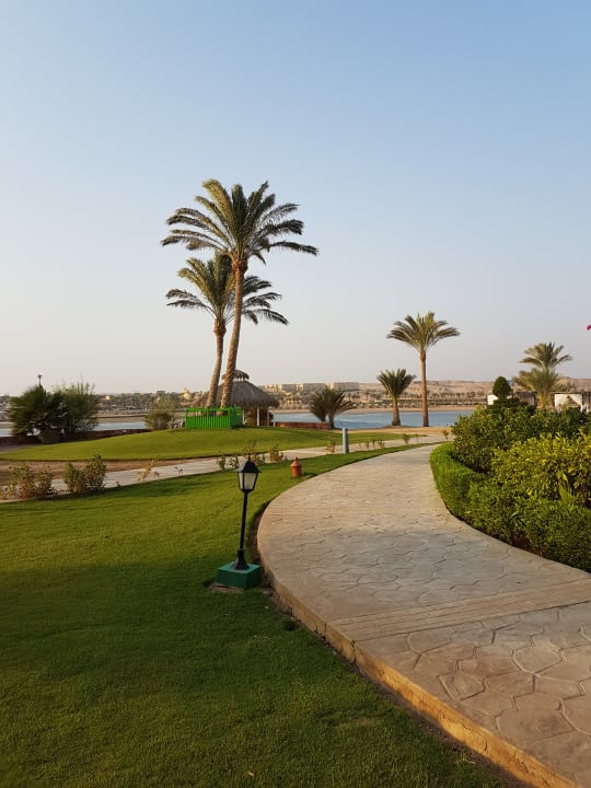 Gartenanlage Steigenberger Coraya Beach - Adults only