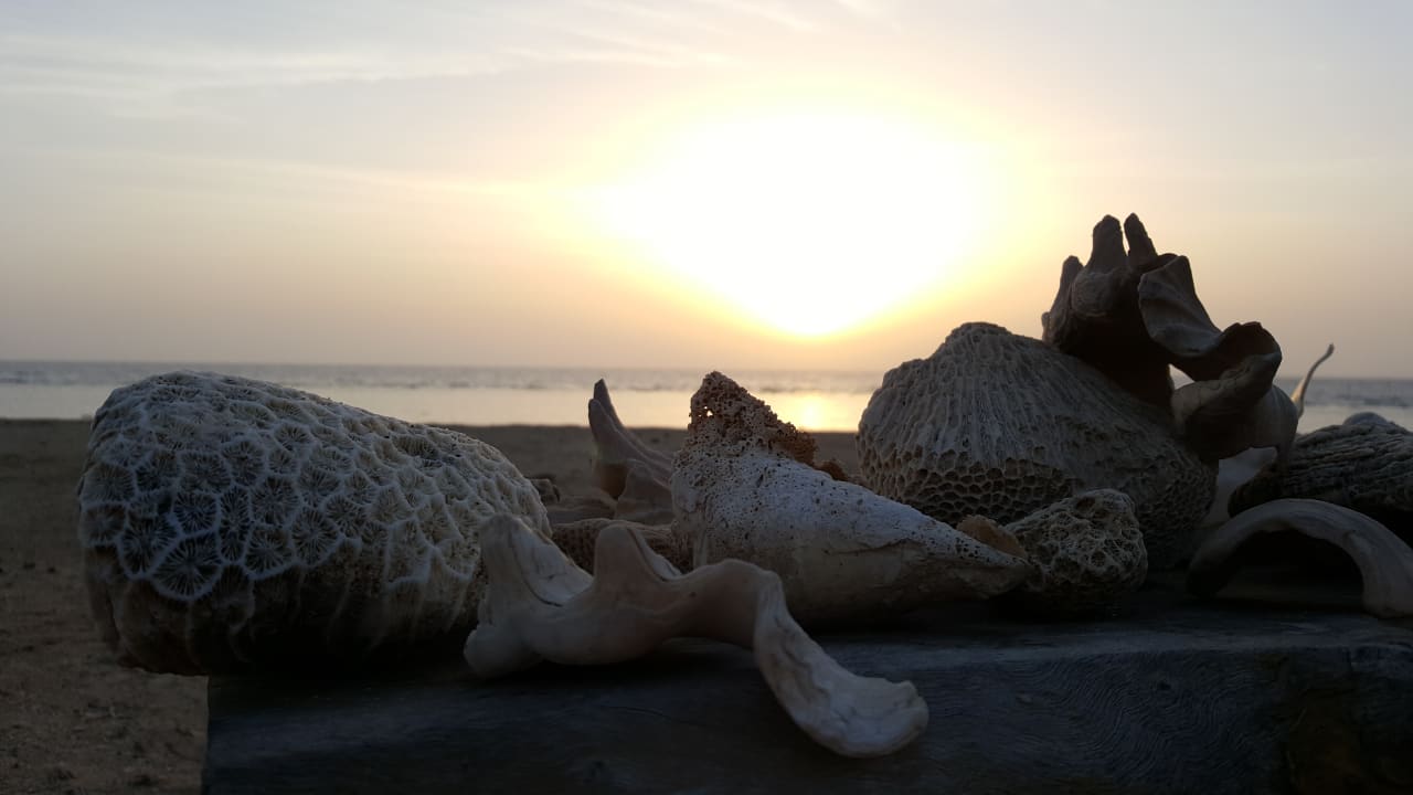 Strand Three Corners Equinox Beach Resort