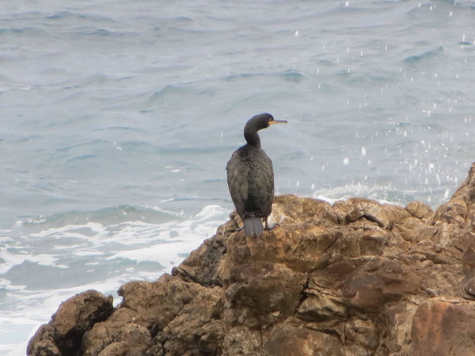 Komoran Hotel Clumba