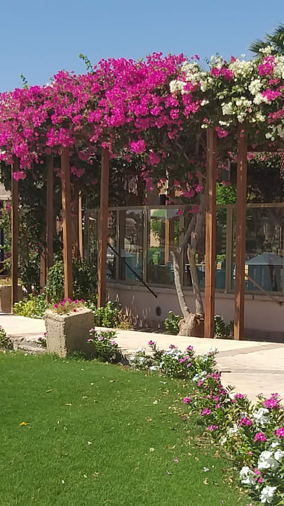 Gastro Sultan Bey Hotel, El Gouna