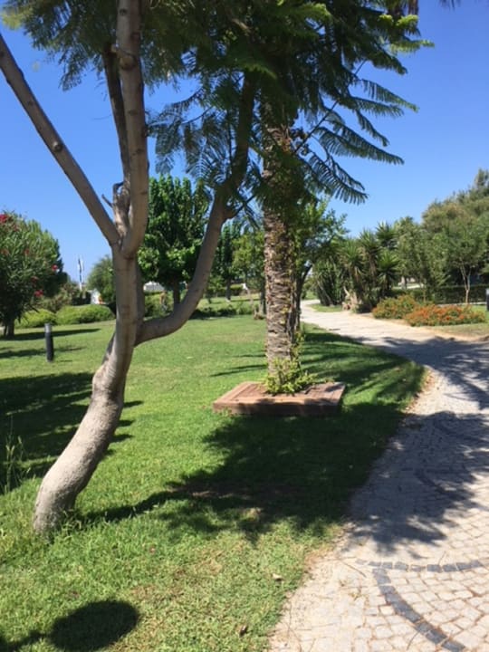 Garten Seher Sun Palace Resort & Spa