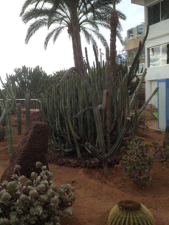 Sehr schön angelegt Hotel Europalace