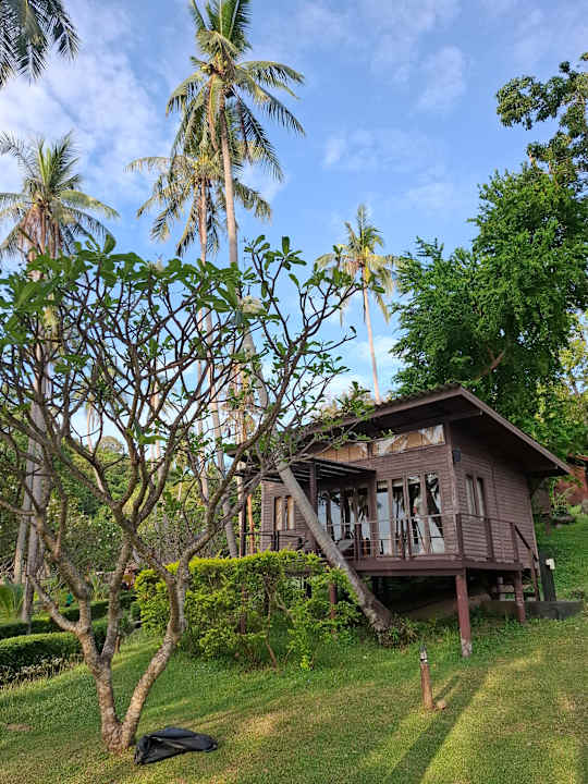 Gartenanlage The Haad Tien Beach Resort