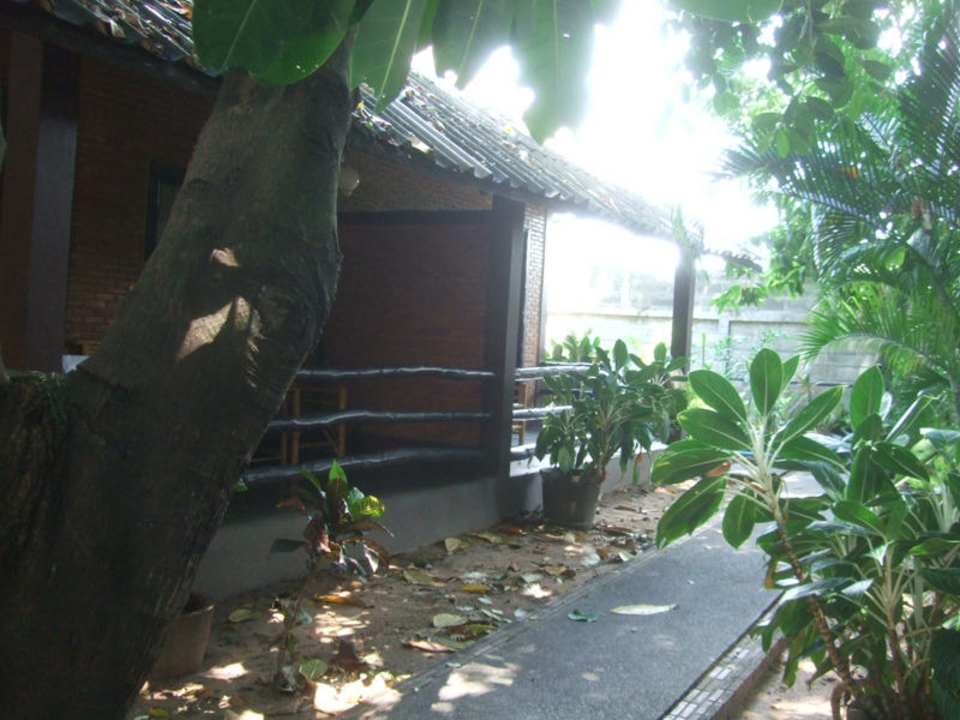 Bungalow im tropischen Garten Hotel The Cottage