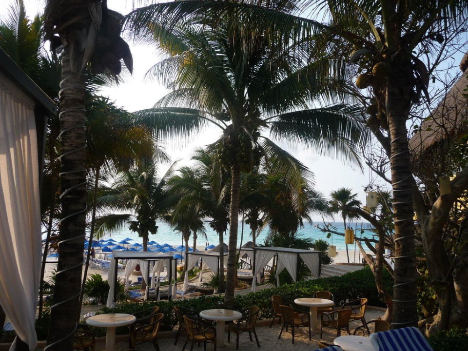 Essplätze bei der Snackbar The Reef Playacar