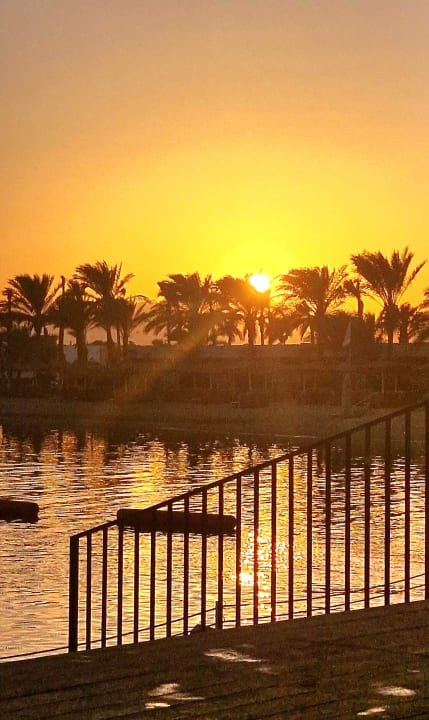 Ausblick Desert Rose