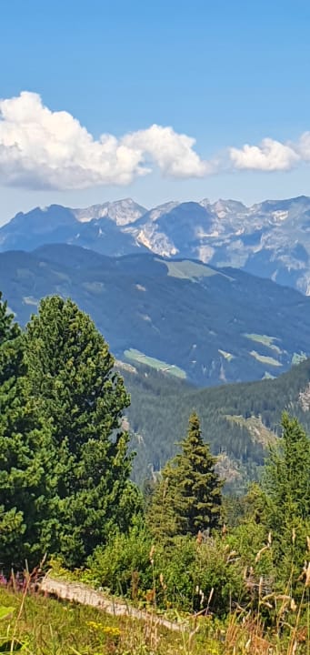 Ausblick Platzlhof - Mein Hotel im Zillertal