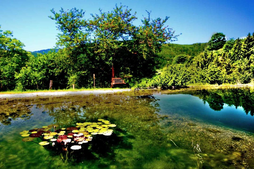 Seerosen und Relaxschaukel am Schwimmteich LUXGUT - OLIVIA