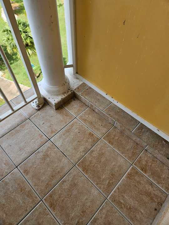 Zimmer Iberostar Origin Laguna Azul