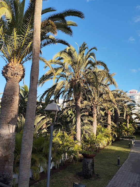 Ausblick Hotel Riu Palace Maspalomas Adults Only
