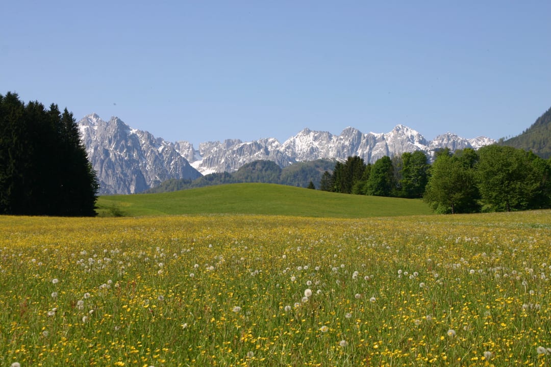 Der Wilde Kaiser Bio-Bauernhof Oberhochstätt