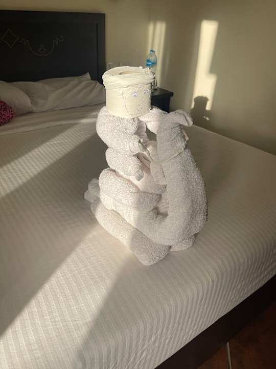 Zimmer Three Corners Sea Beach Resort