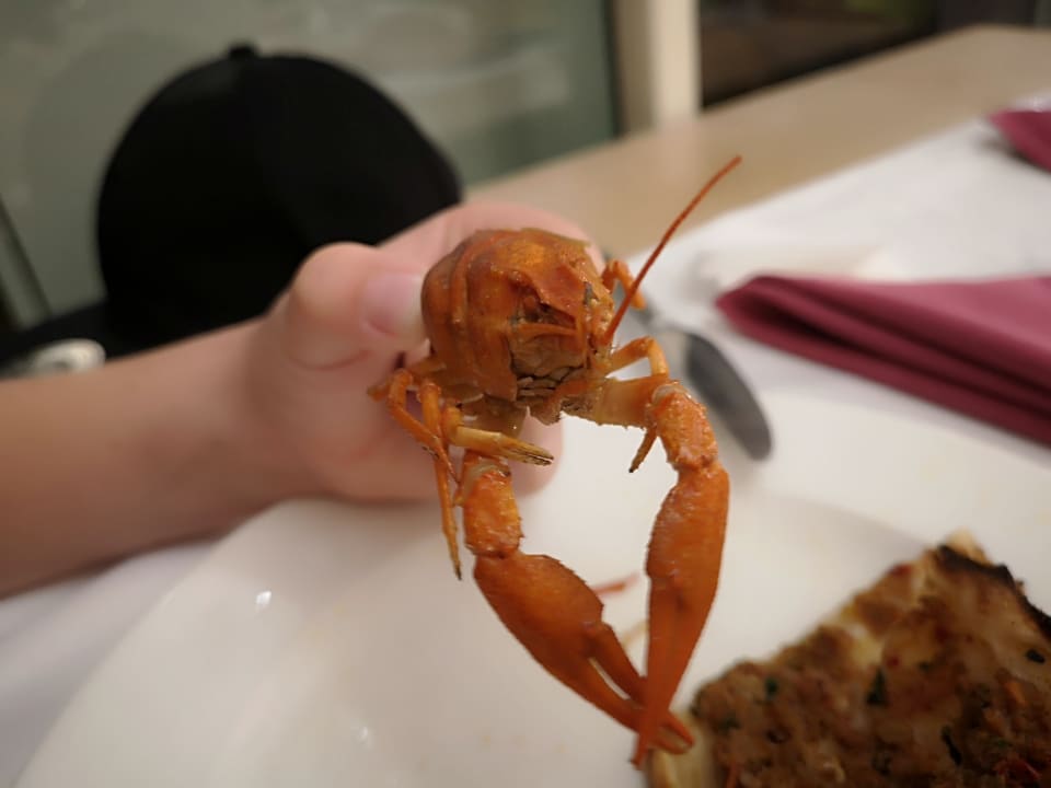 Gastro Well Palace Side